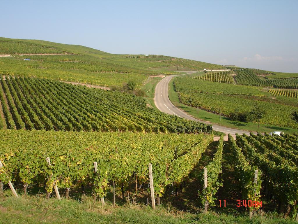 Gite Du Vigneron Тюркхайм Экстерьер фото